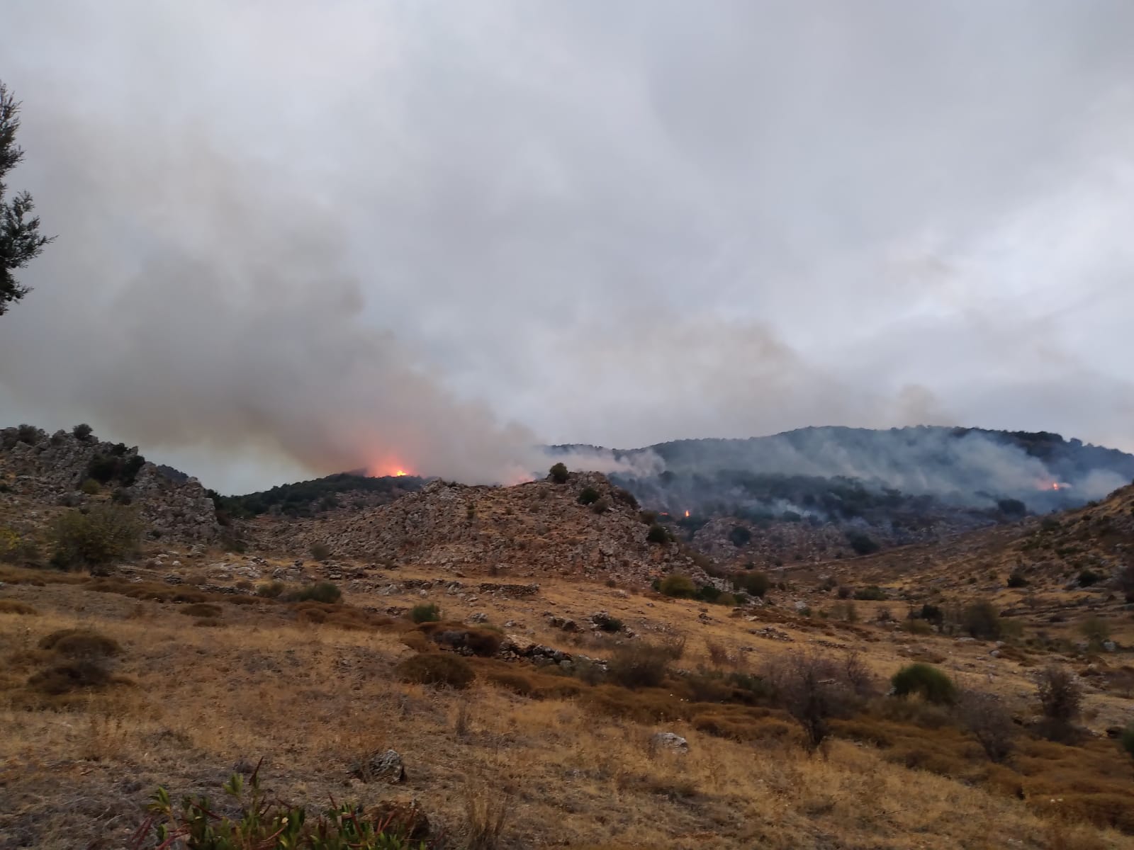 لبنان: الحرائق تلتهم أحراج عدد من قرى الجنوب والدفاع المدني يسيطر على معظمها